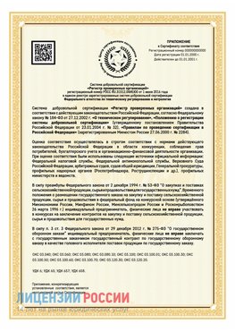 Приложение к сертификату для ИП Анна Сертификат СТО 03.080.02033720.1-2020